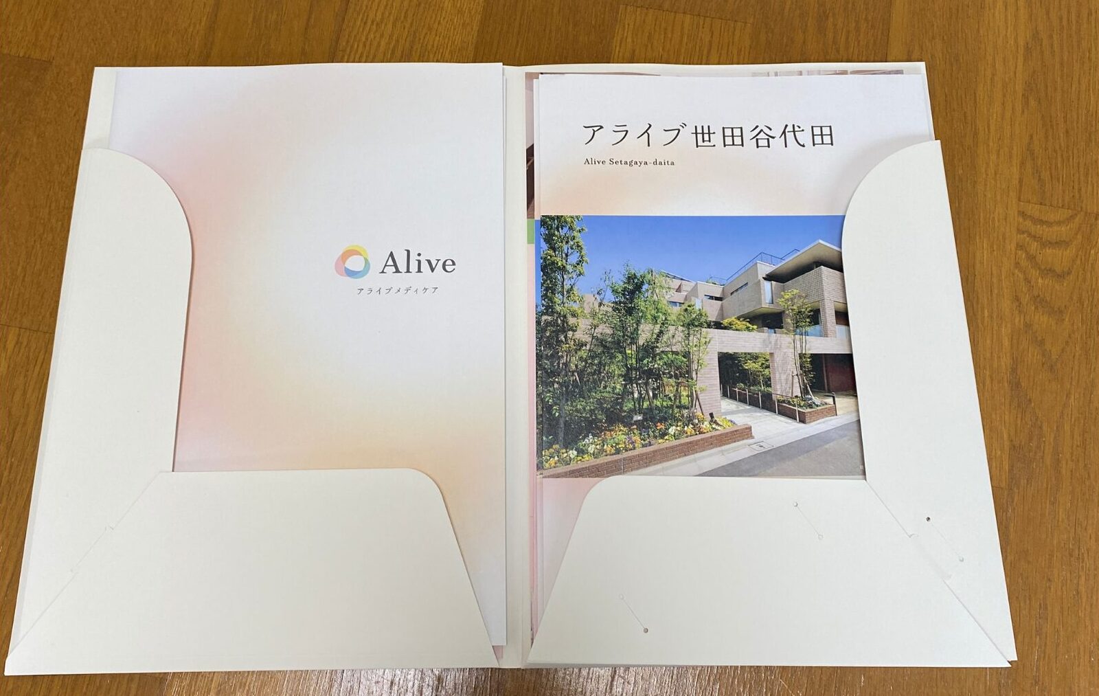 アライブ入れ物